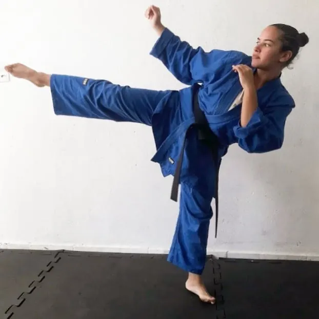 Mawashi geri